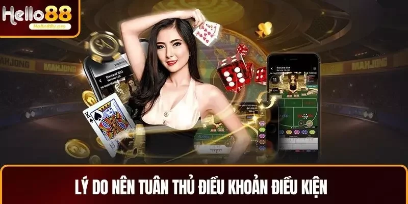 Lý do nên tuân thủ điều khoản điều kiện