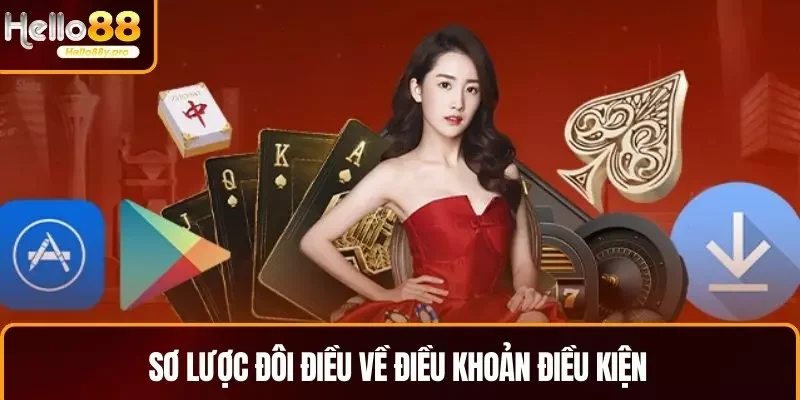 Sơ lược đôi điều về điều khoản điều kiện