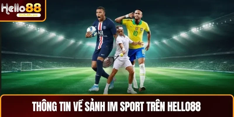 Khái quát thông tin về sảnh IM Sport