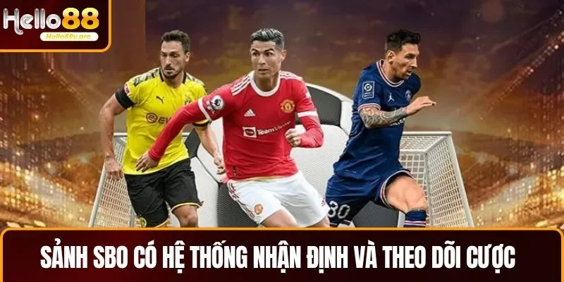 Sảnh SBO có hệ thống nhận định và dự báo cược