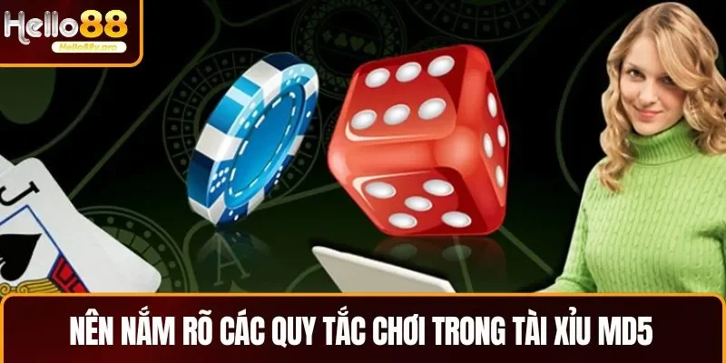 Cần nắm rõ các quy tắc chơi để hạn chế rủi ro khi chơi tài xỉu MD5